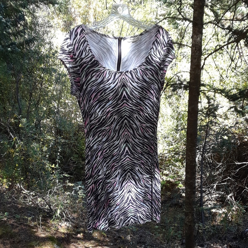 BOGO Forever 21 Botique Rainbow Zebra Dress M
